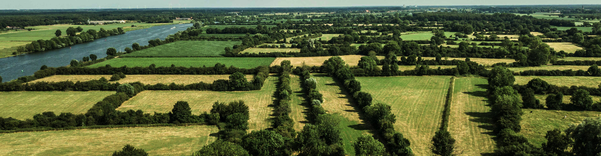 Bijzonder en bijzonder lekkere kruidenthee uit UNESCO biosfeergebied Maasheggen